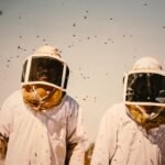 Two people wearing bee suits with bees flying around.