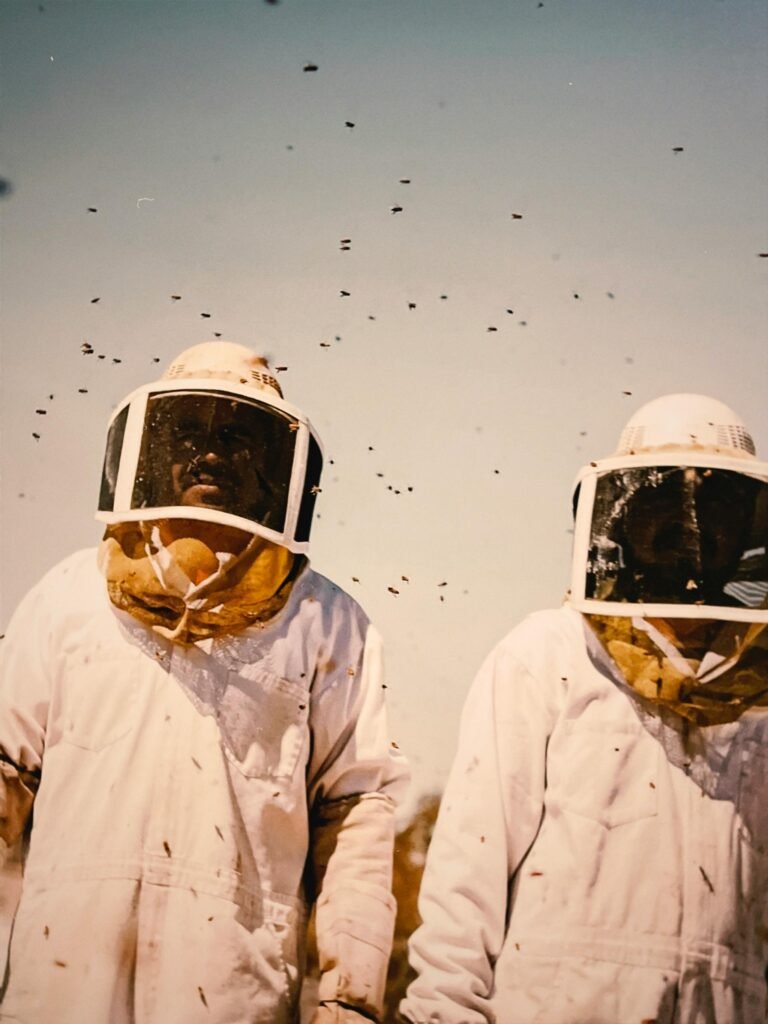 Two people wearing bee suits with bees flying around.