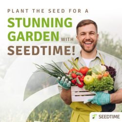 Plant the seed for a stunning garden with Seedtime.